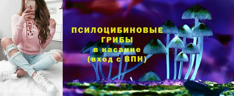 Псилоцибиновые грибы ЛСД  продажа наркотиков  Губкинский 