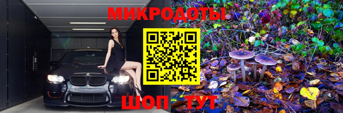 Псилоцибиновые грибы Cubensis Губкинский