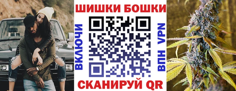 Канабис планчик  Губкинский 